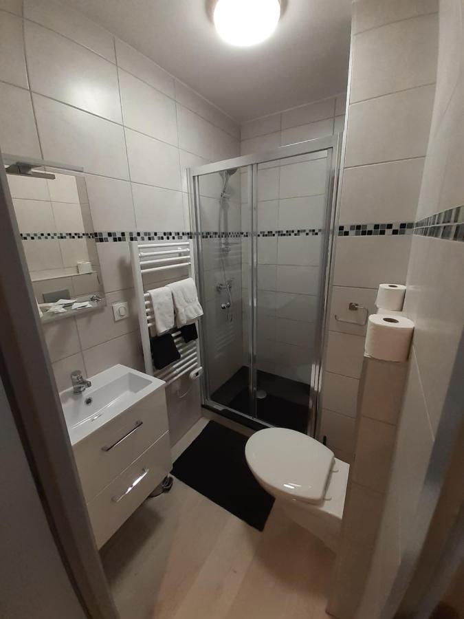 Les Appartements Du Saint Hubert Arcis-sur-Aube Exterior foto